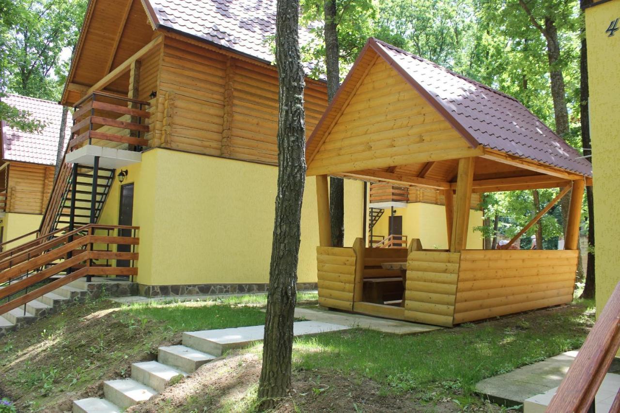 Вілія Hotel Lomacineţi Exterior photo