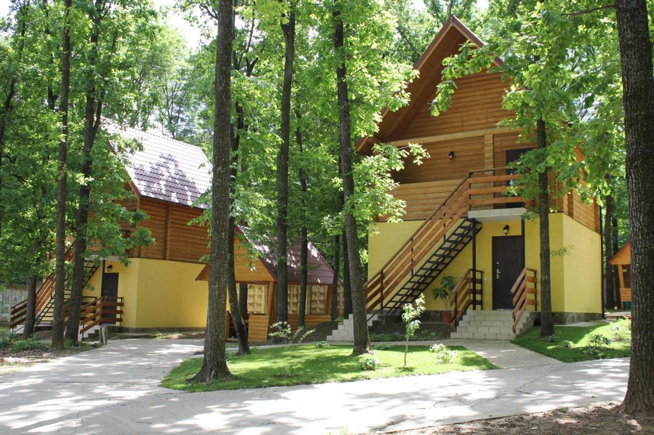 Вілія Hotel Lomacineţi Exterior photo
