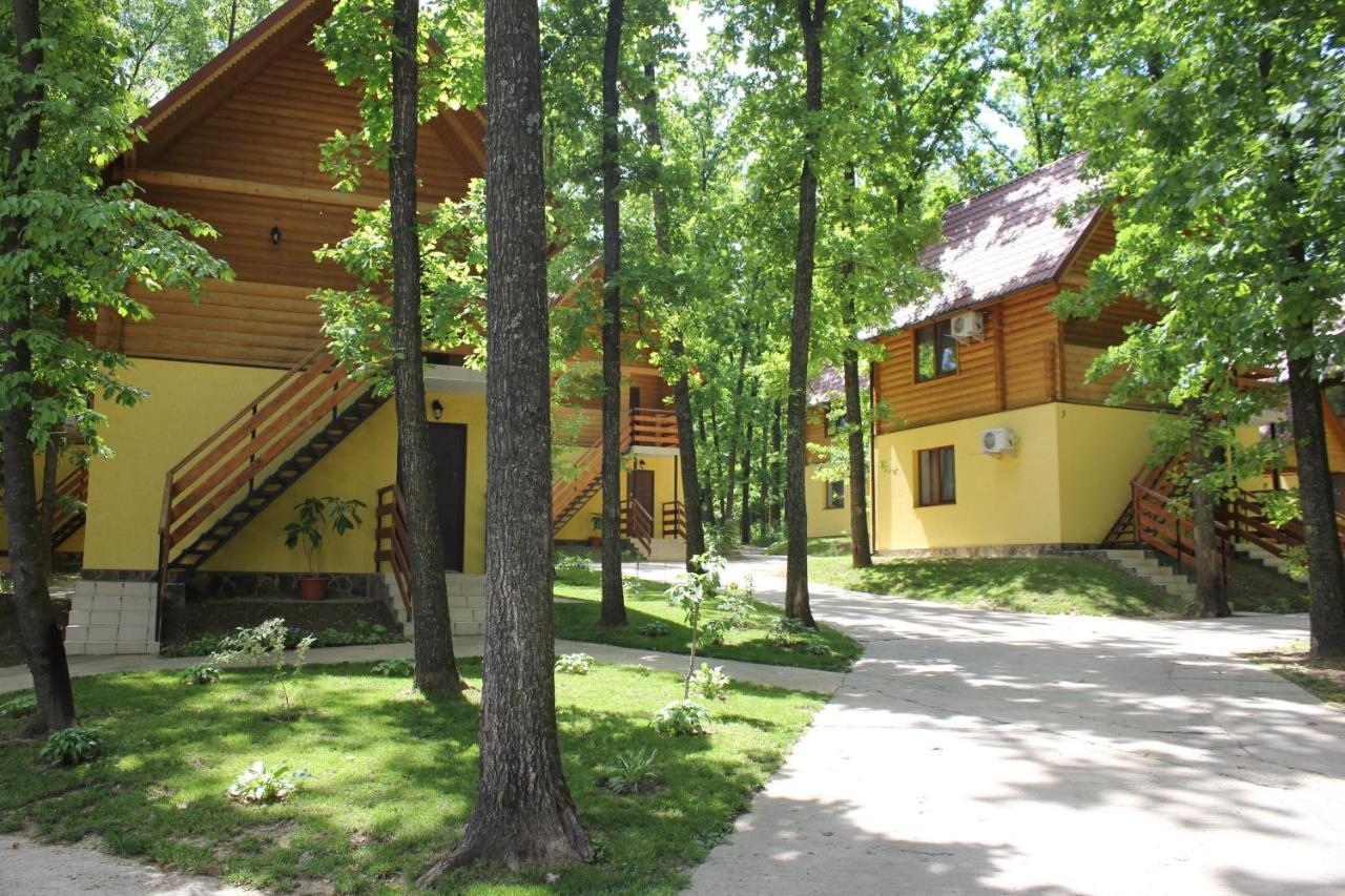 Вілія Hotel Lomacineţi Exterior photo